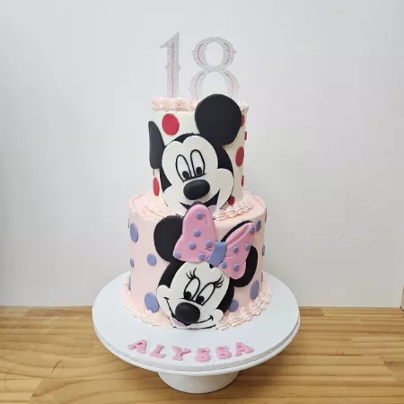 Mickey Minnie Duo