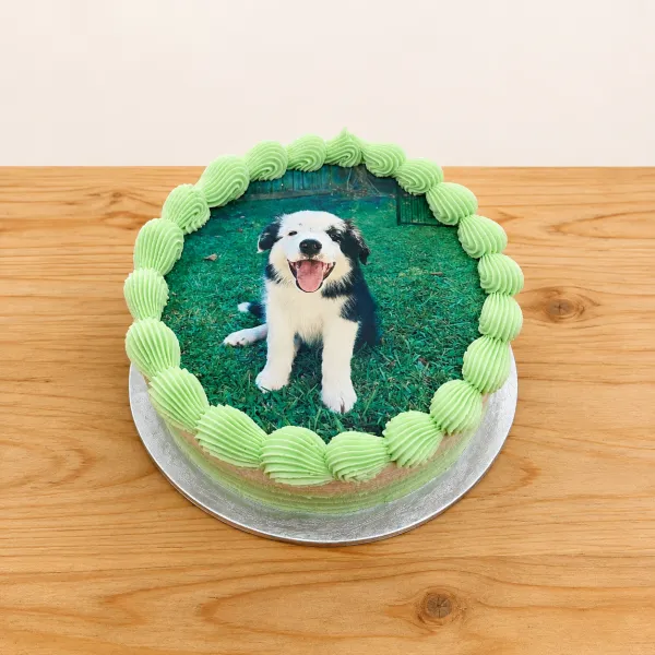 Photo Cake