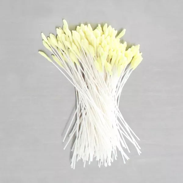 Loyal Lily Small Yellow Stamens