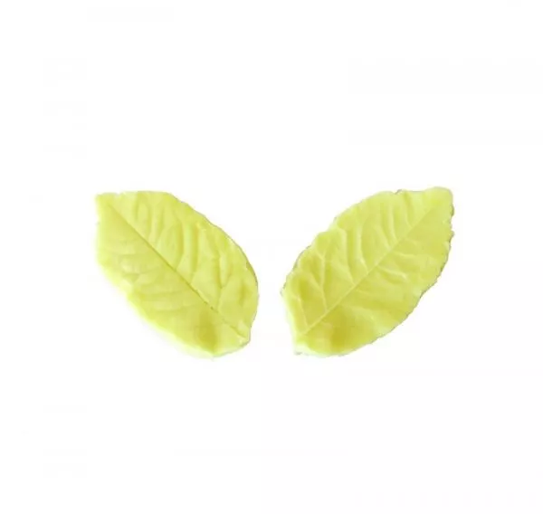 Loyal Holly Leaf Veiner