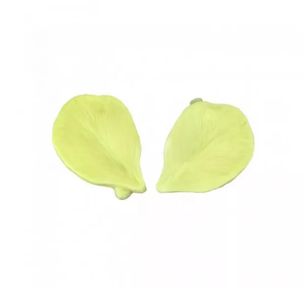 Loyal Standard Tulip Veiner