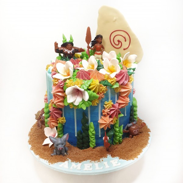 Moana Sail Kids Celebration Cakes Coast Cakes Moana Sail Kids Celebration Cakes Coast Cakes