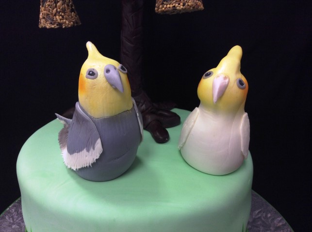 Custom Cake Toppers - birds